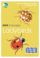 RSPB ID Spotlight - Ladybirds di Marianne Taylor edito da Bloomsbury Publishing PLC