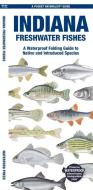 Indiana Freshwater Fishes: A Waterproof Folding Guide to Native and Introduced Species di Waterford Press edito da WATERFORD PR