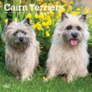 Cairn Terriers 2020 Square Wall Calendar di Inc Browntrout Publishers edito da Brown Trout