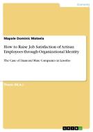 How to Raise Job Satisfaction of Artisan Employees through Organizational Identity di Mapale Dominic Matsela edito da GRIN Verlag