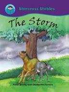 The Storm di Peter Bently edito da Hachette Children's Books