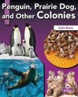 Penguin, Prairie Dog, and Other Colonies di Kylie Burns edito da CRABTREE CROWN
