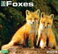 Foxes edito da Zebra Publishing