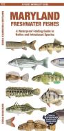 Maryland Freshwater Fishes: A Waterproof Folding Guide to Native and Introduced Species di Waterford Press edito da WATERFORD PR