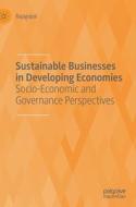 Sustainable Businesses in Developing Economies di Rajagopal edito da Springer International Publishing