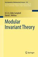 Modular Invariant Theory di H. E. A. Eddy Campbell, David L. Wehlau edito da Springer Berlin Heidelberg