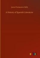A History of Spanish Literature di James Fitzmaurice-Kelly edito da Outlook Verlag