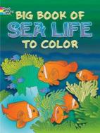 Big Book of Sea Life to Color di Ruth Soffer, Anthony D'Attilio, Lucia Deliris edito da DOVER PUBN INC