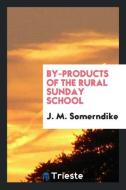 By-Products of the Rural Sunday School di J. M. Somerndike edito da Trieste Publishing