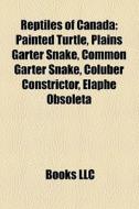 Reptiles Of Canada: Painted Turtle, Plai di Books Llc edito da Books LLC, Wiki Series