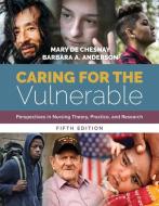Caring For The Vulnerable di Mary de Chesnay, Barbara Anderson edito da Jones and Bartlett Publishers, Inc