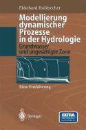 Modellierung dynamischer Prozesse in der Hydrologie di Ekkehard Holzbecher edito da Springer Berlin Heidelberg
