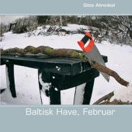 Baltisk Have, Februar di Gitte Ahrenkiel edito da Books on Demand