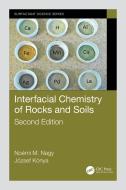 Interfacial Chemistry Of Rocks And Soils di Noemi M. Nagy, Jozsef Konya edito da Taylor & Francis Ltd