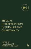 Biblical Interpretation in Judaism and Christianity edito da CONTINNUUM 3PL