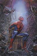 Spider-man's Tangled Web Omnibus di Garth Ennis edito da Marvel Comics