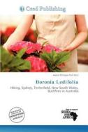 Boronia Ledifolia edito da Ceed Publishing