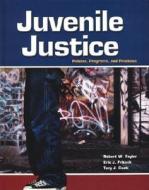 Juvenile Justice with Student Tutorial CD-ROM di Eric J. Fritsch, Tory J. Caeti, Robert W. Taylor edito da McGraw-Hill Humanities/Social Sciences/Langua