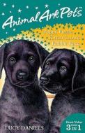 Animal Ark Pets: Animal Ark Pets Bind Up 1-3 di Lucy Daniels edito da Hachette Children's Group