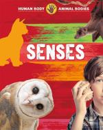 Human Body, Animal Bodies: Senses di Izzi Howell edito da Hachette Children's Group