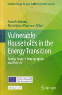 Vulnerable Households in the Energy Transition edito da Springer International Publishing