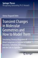 Transient Changes in Molecular Geometries and How to Model Them di Asmus Ougaard Dohn edito da Springer International Publishing