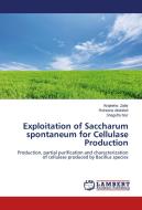 Exploitation of Saccharum spontaneum for Cellulase Production di Wajeeha Zafar, Roheena Abdullah, Shagufta Naz edito da LAP Lambert Academic Publishing