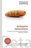 Amblyptilia Galactostacta edito da Betascript Publishing