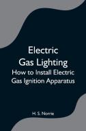 Electric Gas Lighting di H. S. Norrie edito da Alpha Editions