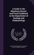 A Guide To The Elephants Recent And Fossil Exhibited In The Department Of Geology And Palaeontology di Museum edito da Palala Press