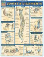 Joints & Ligaments edito da Barcharts