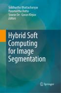 Hybrid Soft Computing for Image Segmentation edito da Springer International Publishing
