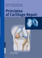Principles of Cartilage Repair di Christoph Erggelet, Bert R. Mandelbaum edito da Steinkopff