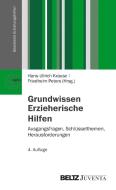 Grundwissen Erzieherische Hilfen edito da Juventa Verlag GmbH