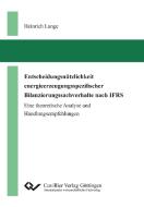 Entscheidungsnützlichkeit energieerzeugungsspezifischer Bilanzierungssachverhalte nach IFRS di Heinrich Lange edito da Cuvillier Verlag