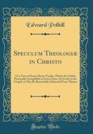 Speculum Theologiae in Christo: Or a View of Some Divine Truths, Which Are Either Practically Exemplified in Jesus Christ, Set Forth in the Gospel, or di Edward Polhill edito da Forgotten Books