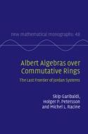 Albert Algebras Over Commutative Rings di Skip Garibaldi, Holger P. Petersson, Michel L. Racine edito da Cambridge University Press