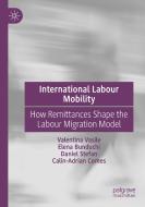 International Labour Mobility di Valentina Vasile, Calin-Adrian Comes, Daniel Stefan, Elena Bunduchi edito da Springer International Publishing