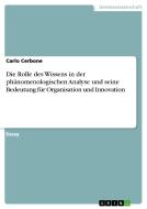 Die Rolle Des Wissens in Der PHäNomenologischen Analyse Und Seine Bedeutung Für Organisation Und Innovation di Carlo Cerbone edito da Grin Verlag