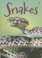 Snakes di James MacLaine edito da Usborne Books