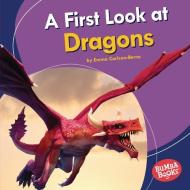 A First Look at Dragons di Emma Carlson-Berne edito da LERNER PUBN