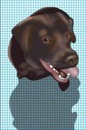 Chocolate Labrador Retriever: A Funky Ruffretro Dog Breed Notebook Journal (Blue) with 150 Lined Pages di Ruffretro edito da LIGHTNING SOURCE INC