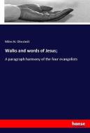 Walks and words of Jesus; di Miles N. Olmstedt edito da hansebooks