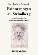 Erinnerungen an Strindberg di Carl Ludwig Schleich edito da Hofenberg