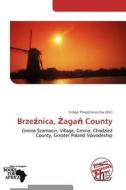 Brzea Nica, A"agaa County edito da Duc