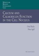 Calcium and Calmodulin Function in the Cell Nucleus di Neus Agell, Oriol Bachs edito da Springer Berlin Heidelberg