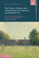 The Theory, Practice And Interpretation Of Customary International Law edito da Cambridge University Press