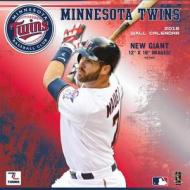 Minnesota Twins edito da Turner Licensing