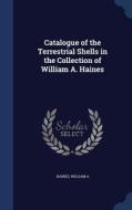 Catalogue Of The Terrestrial Shells In The Collection Of William A. Haines di William A Haines edito da Sagwan Press