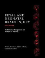 Fetal And Neonatal Brain Injury di William E. Benitz edito da Cambridge University Press